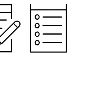 Cat & Client Information Form
